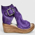 Viola